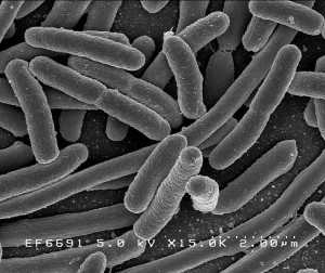 equipos medicos antimicrobiano