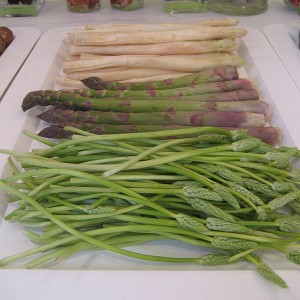 propagacion in vitro esparragos