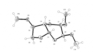 CSIC descubre un principio activo CSIC descubre un principio activo