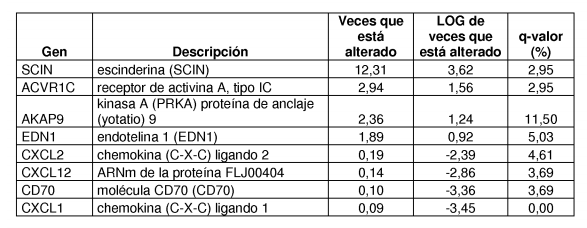 Celulas madre Celulas madre