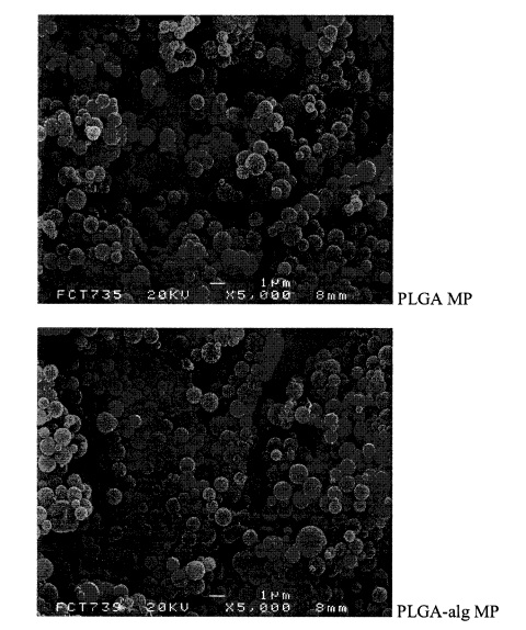 INVESTIGACION - MICROPARTICULAS VACUNA INVESTIGACION - MICROPARTICULAS VACUNA