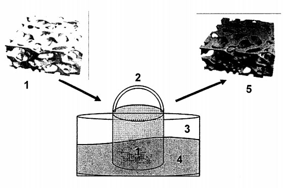 EXPERIMENTOS - METALES PESADOS EXPERIMENTOS - METALES PESADOS